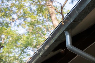 Expert Advice for Your Gutter System