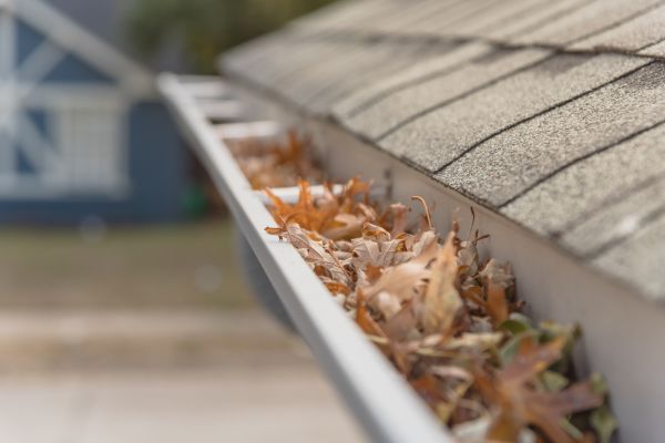 Leaf Barrier Installation in Joliet